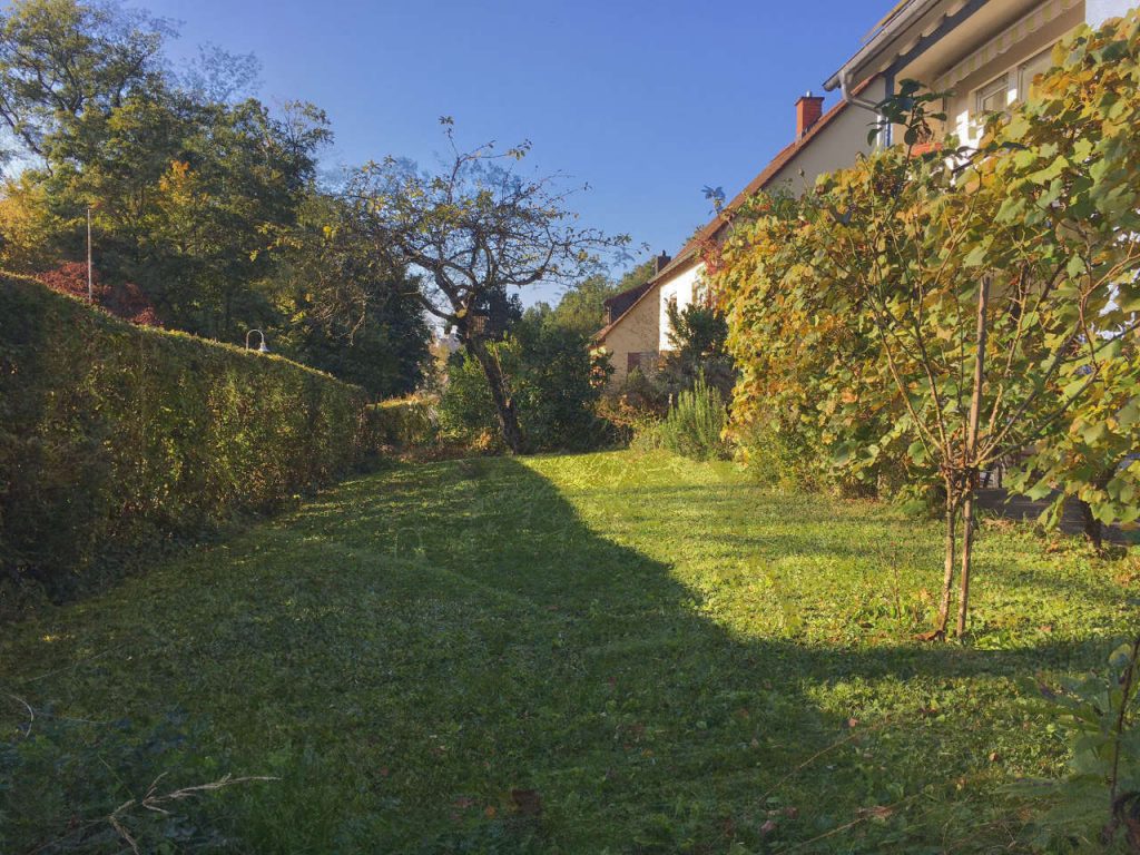 Garten vor der Terrasse der FeWO